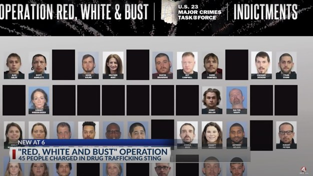 drug-bust
