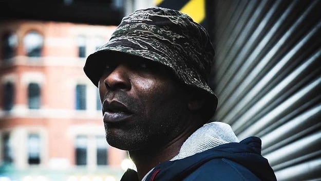 Fox (credit: @f_13iizm)