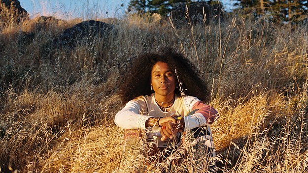 jelani-aryeh