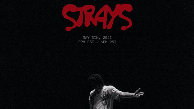 kenny-mason-strays-02