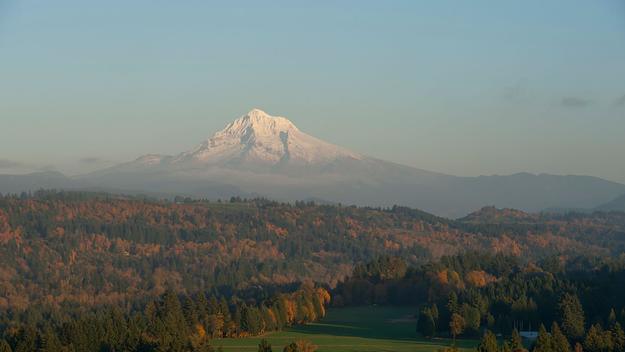 mt hood
