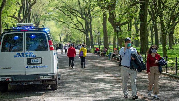 Central Park Bird Watcher