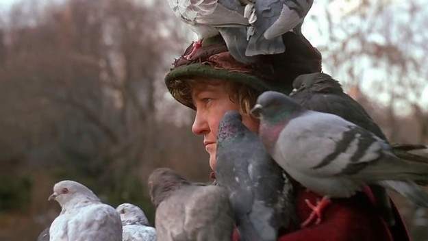 pigeon lady