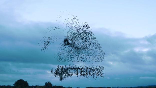 palace skateboards arcteryx collaboration 001