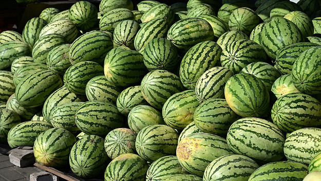 melons