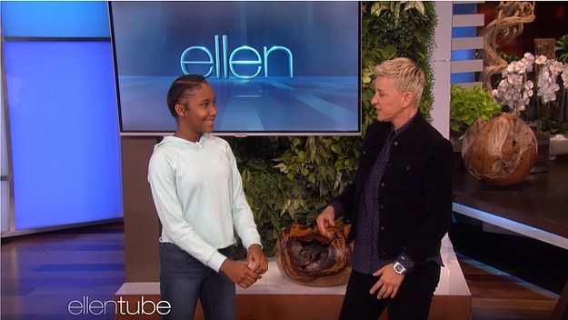 ellen renegade