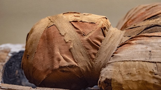 Egyptian mummy