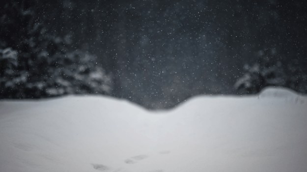 Snowy Bigfoot tracks in Ukraine.