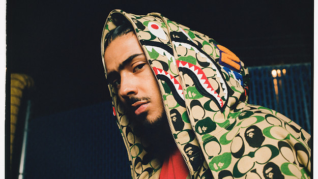 Bape x Coach Shark Hoodie