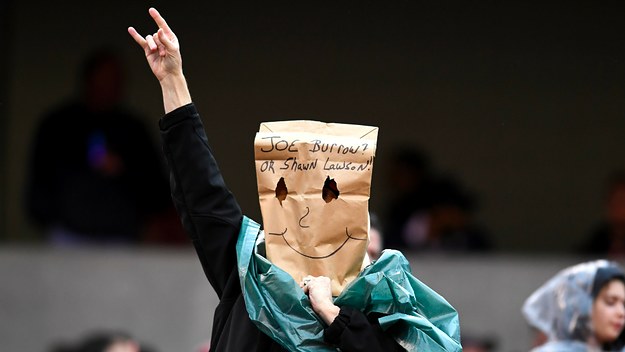 Cincinnati Bengals fan