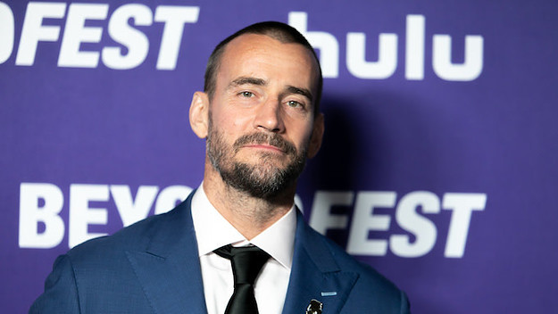 cm punk wwe