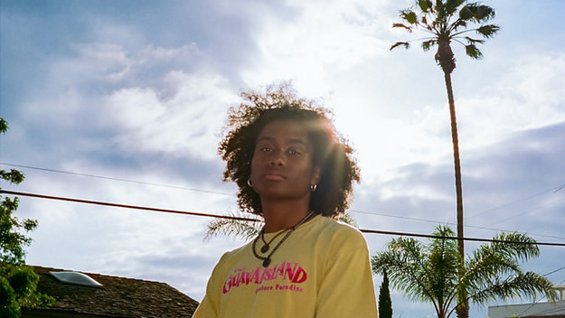 Jelani Aryeh