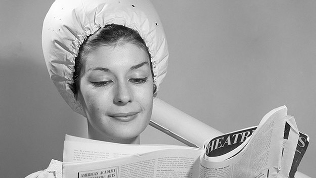 This is a photo of Bonnett.