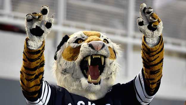 The Jackson State Tigers mascot Wavee Dave cheers