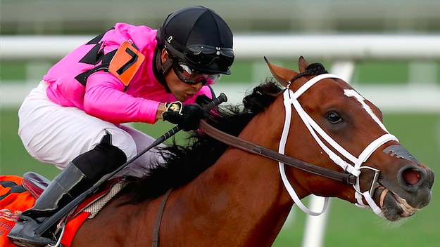 Kentucky Derby