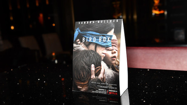 bird box disaster footage