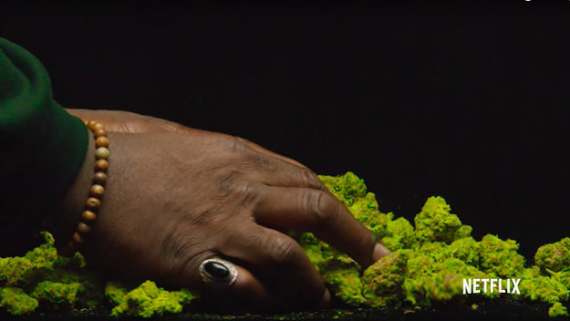 Netflix's 'Grass Is Greener'