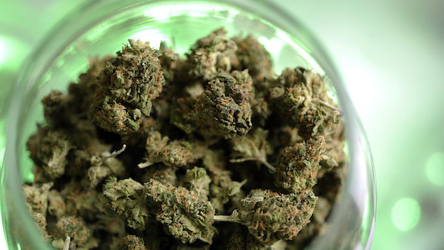 Weed in Denver