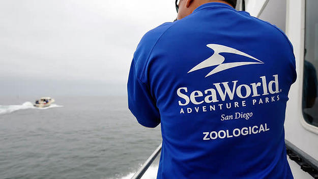 A SeaWorld San Diego worker