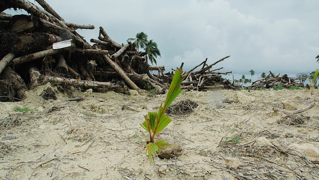 Andaman and Nicobar