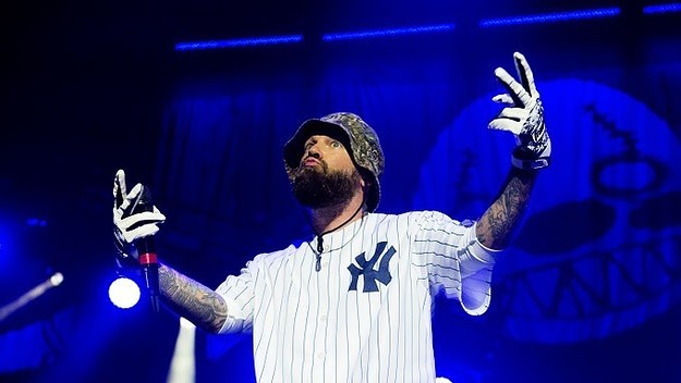 limp bizkit shaggy 2 dope