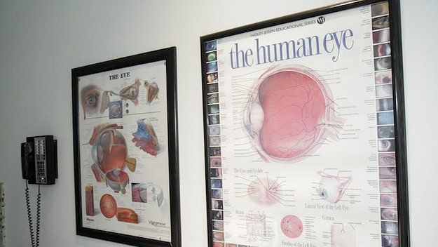 Human eye charts in the exam room.