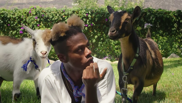 tobi lou the juice