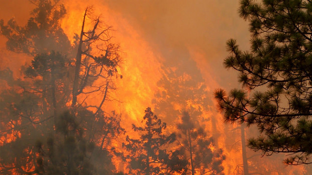 Forest Fire Oregon