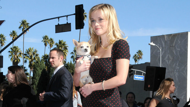 reese witherspoon