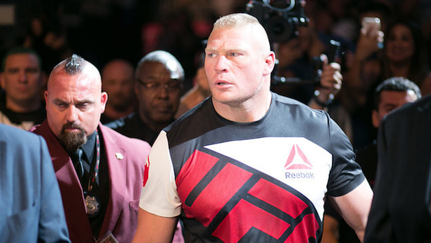 This is a picture of Brock Lesnar.