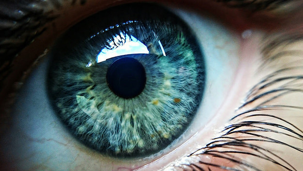 Image Of Human Eye