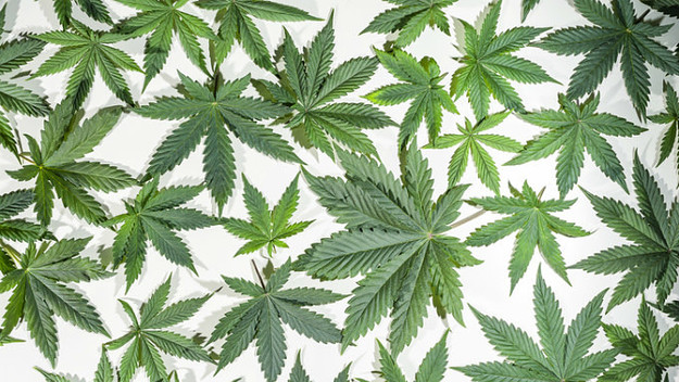 marijuana