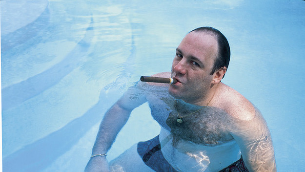 James Gandolfini as Tony Soprano