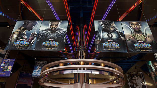 This is a photo of Black Panther.