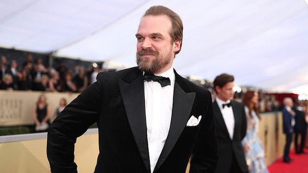 David Harbour attends the 24th Annual Screen Actors Guild Awards.