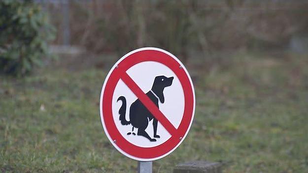Dog poop sign
