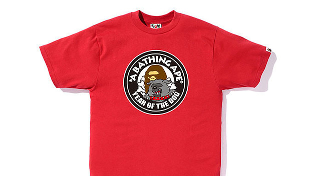 This is a photo of Bape.