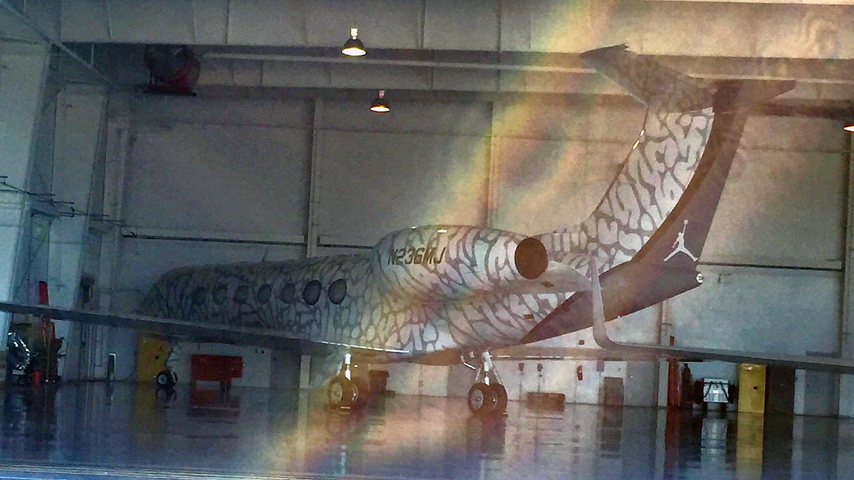 Michael Jordan Elephant Print Private Jet