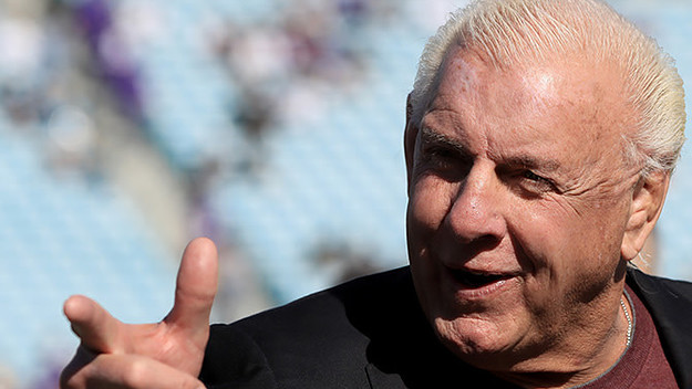 This is a photo of Ric Flair.