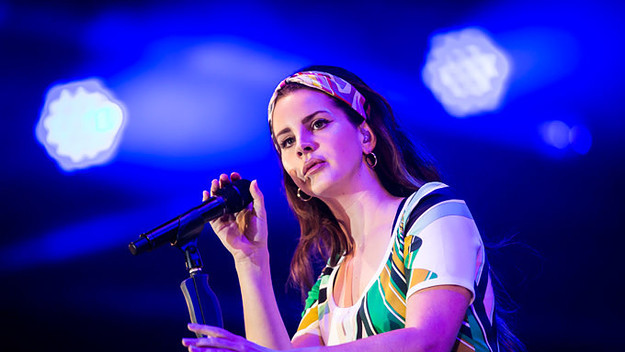 lana del rey and hip hop lead