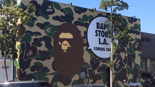 This is a photo of Bape.