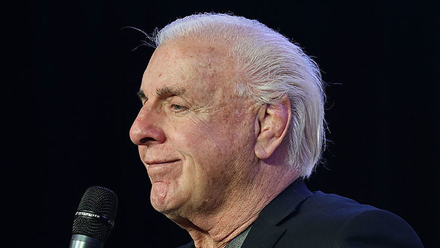 This is a photo of Ric Flair.