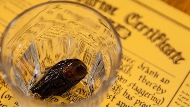 Someone Stole an Old Mummified Toe From a Bar in Yukon