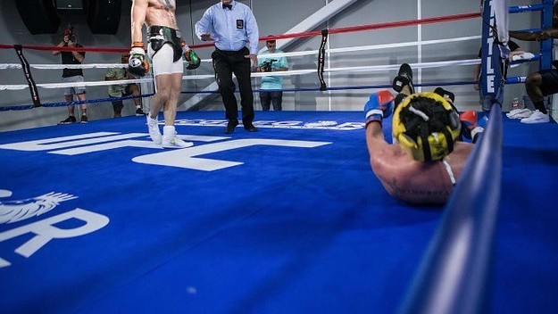 Did Conor McGregor knock Paulie Malignaggi out?