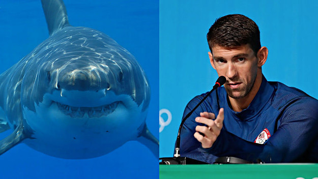 shark for the win