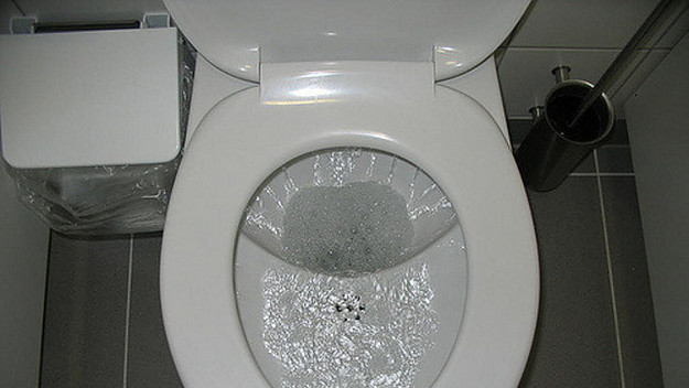 toilet