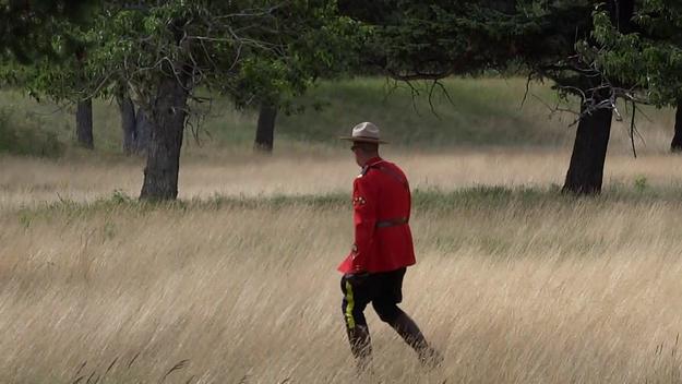 bear mountie