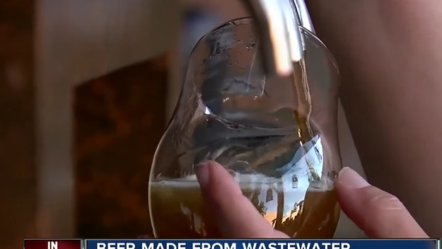 Beer