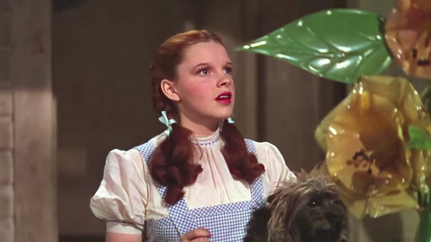 Wizard of Oz