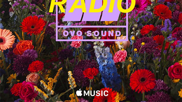 This is a photo of OVO.
